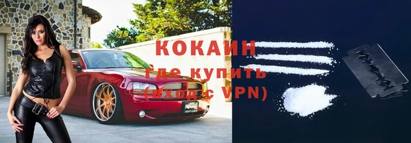 хмурый Ладушкин
