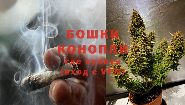 сатива Лабытнанги