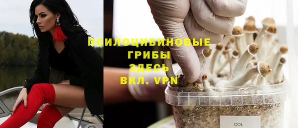 сатива Лабытнанги