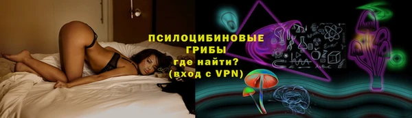 хмурый Ладушкин