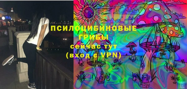 сатива Лабытнанги