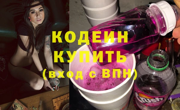 сатива Лабытнанги