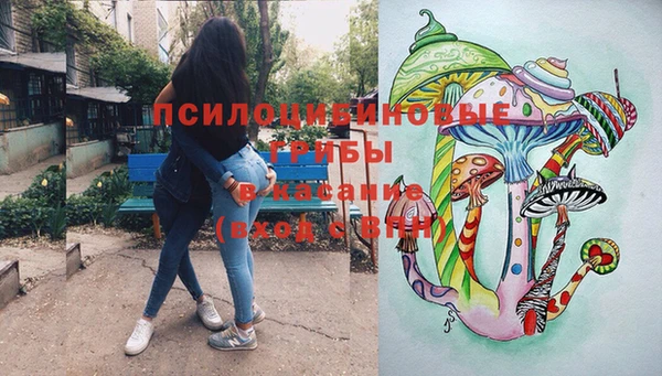 сатива Лабытнанги