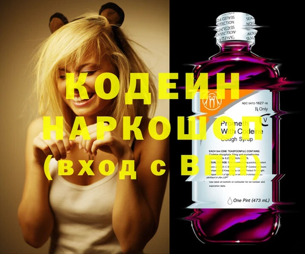 сатива Лабытнанги