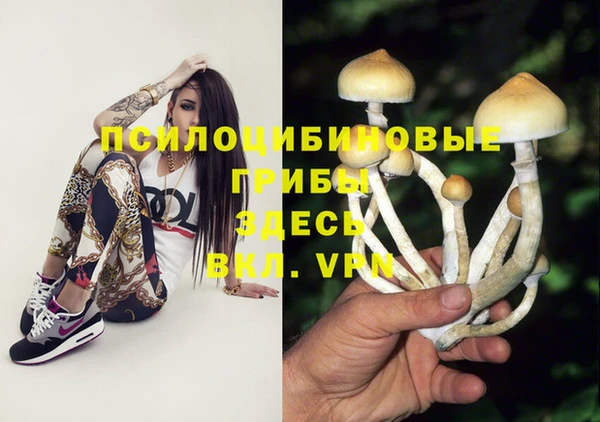 хмурый Ладушкин