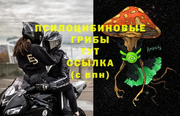 сатива Лабытнанги