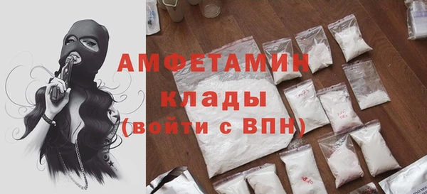 сатива Лабытнанги