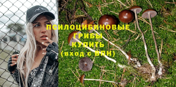 хмурый Ладушкин